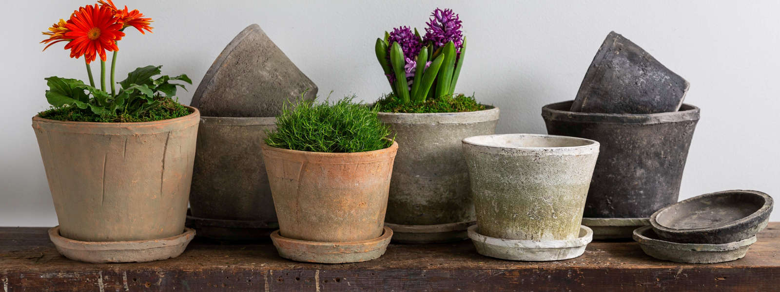 Campania International DesignerApproved Brand Perigold